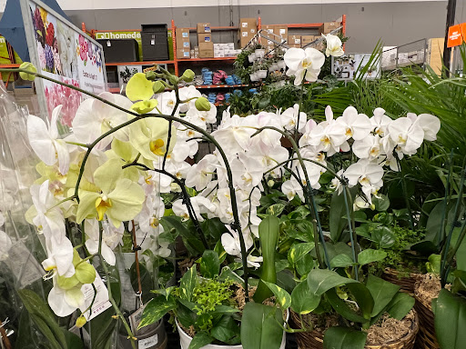 Home Improvement Store «The Home Depot», reviews and photos, 1326 Londontown Blvd, Sykesville, MD 21784, USA