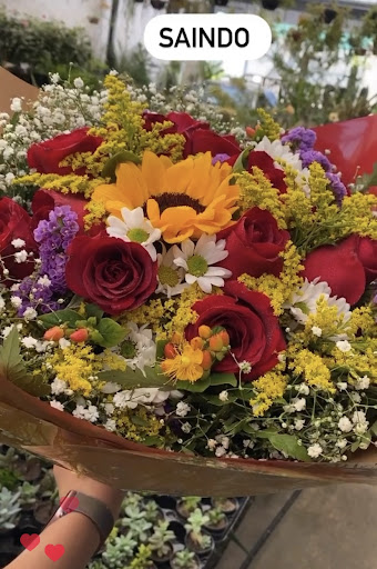 Logo da empresa - FLORA LAS FLORES