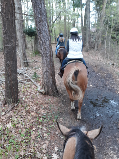 Tourist Attraction «C and L Stables», reviews and photos, 1095 Ives Rd, East Greenwich, RI 02818, USA