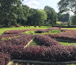 Bogor Botanical Gardens photo