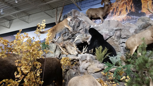 Outdoor Sports Store «Field & Stream», reviews and photos, 870 Walt Whitman Rd Ste B, Melville, NY 11747, USA