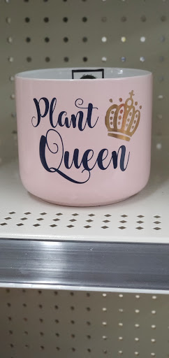 Discount Store «Dollar General», reviews and photos, 1119 Fort St, Lincoln Park, MI 48146, USA