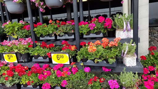 Grocery Store «Quality Food Center», reviews and photos, 1009 Monroe Ave, Enumclaw, WA 98022, USA