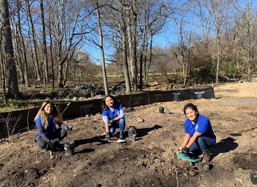 Insurance Agency «Allstate Insurance Agent: Christine Angles», reviews and photos