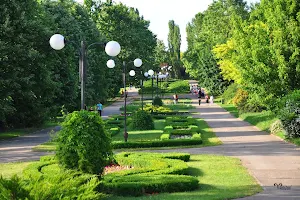 Museum of Natural Sciences "Răsvan Angheluțăq" image