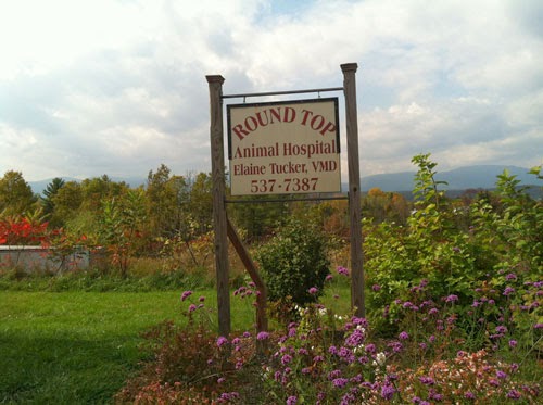 Roundtop Animal Hospital veterinary clinic