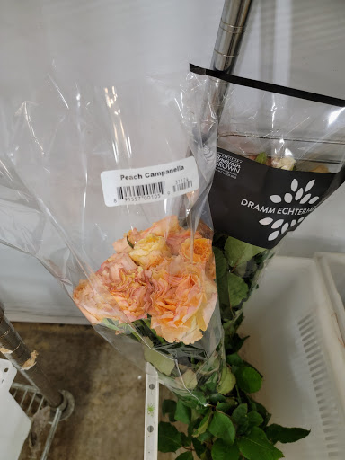 Florist «Botanica Wholesale Florist», reviews and photos, 3208 International Pl, Irving, TX 75062, USA