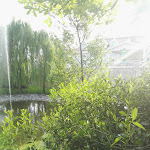 Photo n°7 de l'avis de Giuseppe.c fait le 03/09/2017 à 07:40 sur le  Gardaland Adventure Hotel à Castelnuovo del Garda