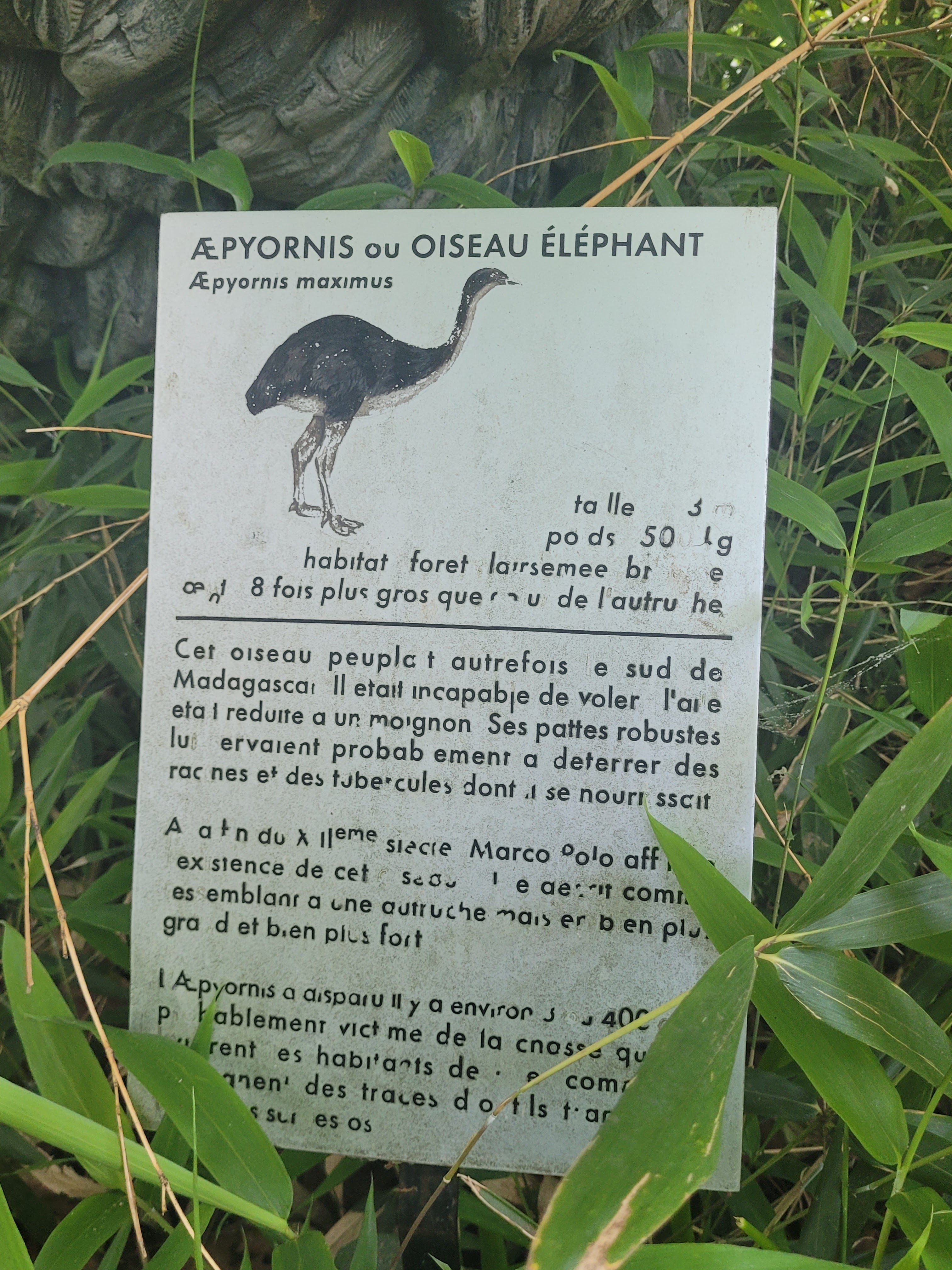 Photo n° 30 de l'avis de Vero.o fait le 14/06/2022 à 11:47