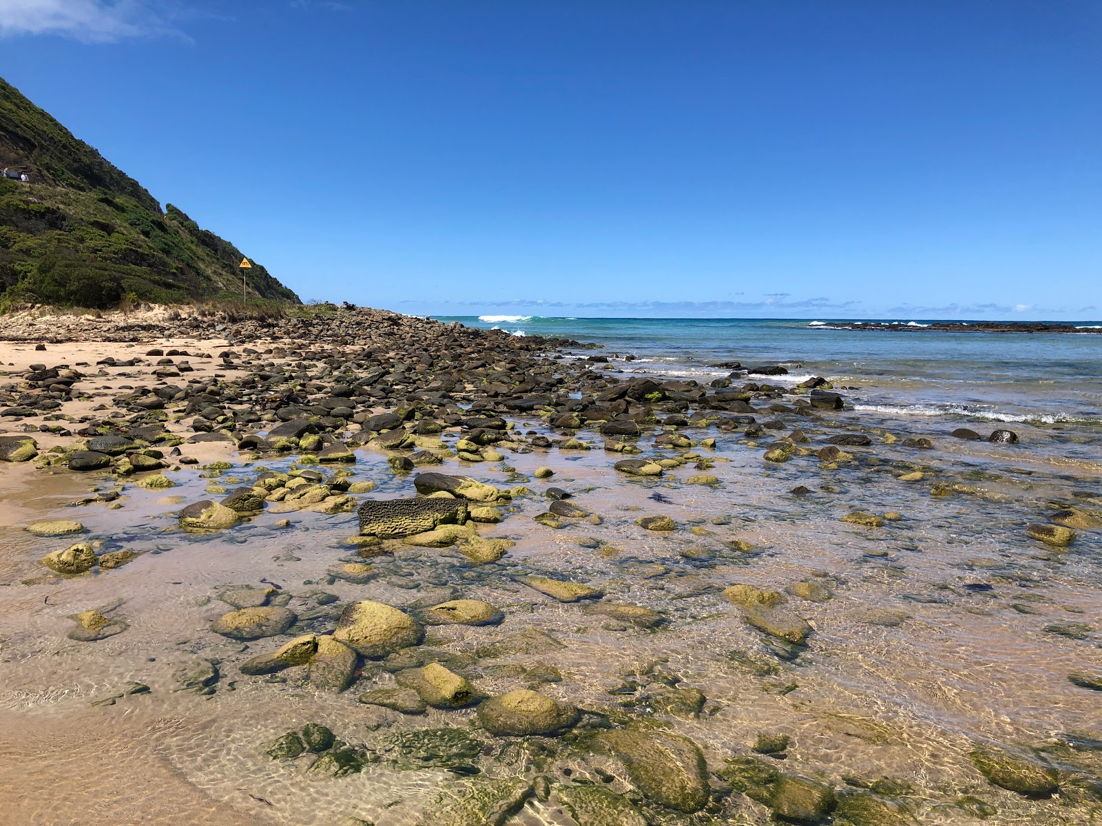 Photo de Lorne scenic Beach zone sauvage