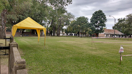 Graduacion La Plaza