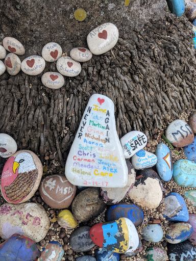 Art Museum «Coral Springs Museum of Art», reviews and photos, 2855 Coral Springs Dr, Coral Springs, FL 33065, USA