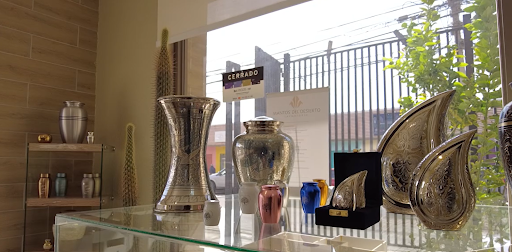 Mantos del Desierto en Copiapó, Copiapo