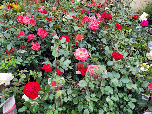 Home Improvement Store «The Home Depot», reviews and photos, 541 Kings Hwy Cutoff, Fairfield, CT 06824, USA