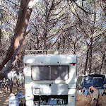 Photo n°10 de l'avis de Peppi.u fait le 10/07/2022 à 07:15 sur le  Camping Nurapolis à Narbolia