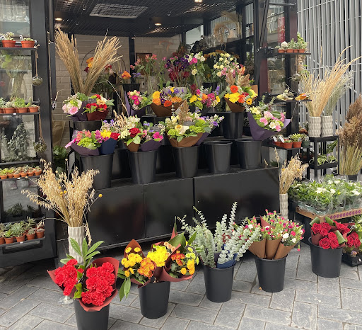 Marché Aux Fleurs MTL