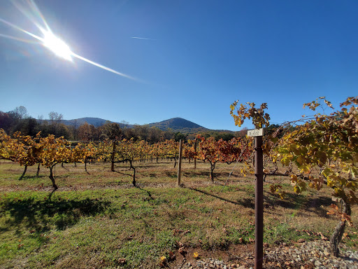 Winery «Sharp Mountain Vineyards», reviews and photos, 110 Rathgeb Trail, Jasper, GA 30143, USA