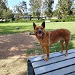 Oak Flats Dog Park