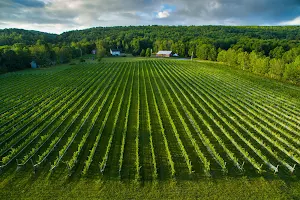 L'Acadie Vineyards image