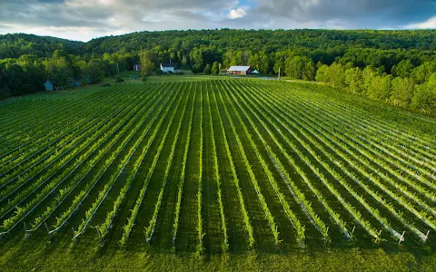 L'Acadie Vineyards image