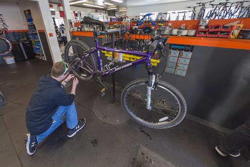 Bicycle Store «The Bicycle Center», reviews and photos, 612 Federal Rd, Brookfield, CT 06804, USA