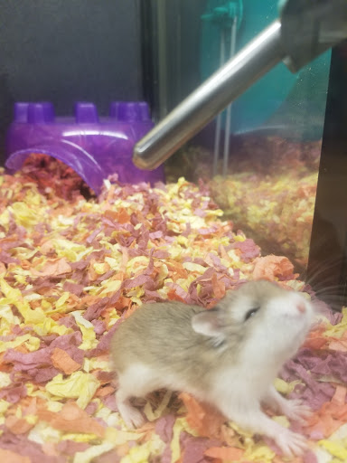 Pet Supply Store «PetSmart», reviews and photos, 7574 Voice of America Centre Dr, West Chester Township, OH 45069, USA