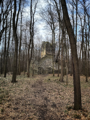 Értékelések erről a helyről: Dabospusztai templomrom, Sáska - Templom