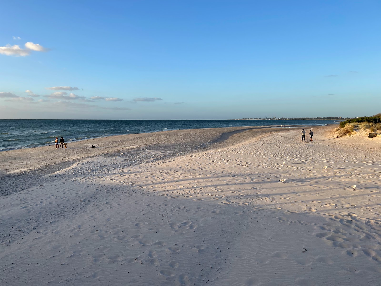 Semaphore Beach的照片 带有长直海岸