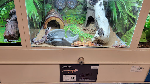 Pet Supply Store «PetSmart», reviews and photos, 225 Robert C Daniel Jr Pkwy, Augusta, GA 30909, USA