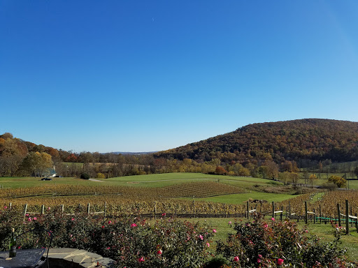 Winery «Hillsborough Vineyards», reviews and photos, 36716 Charles Town Pike, Purcellville, VA 20132, USA