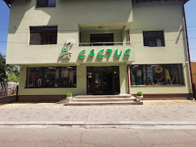 Magazinul Cactus 3