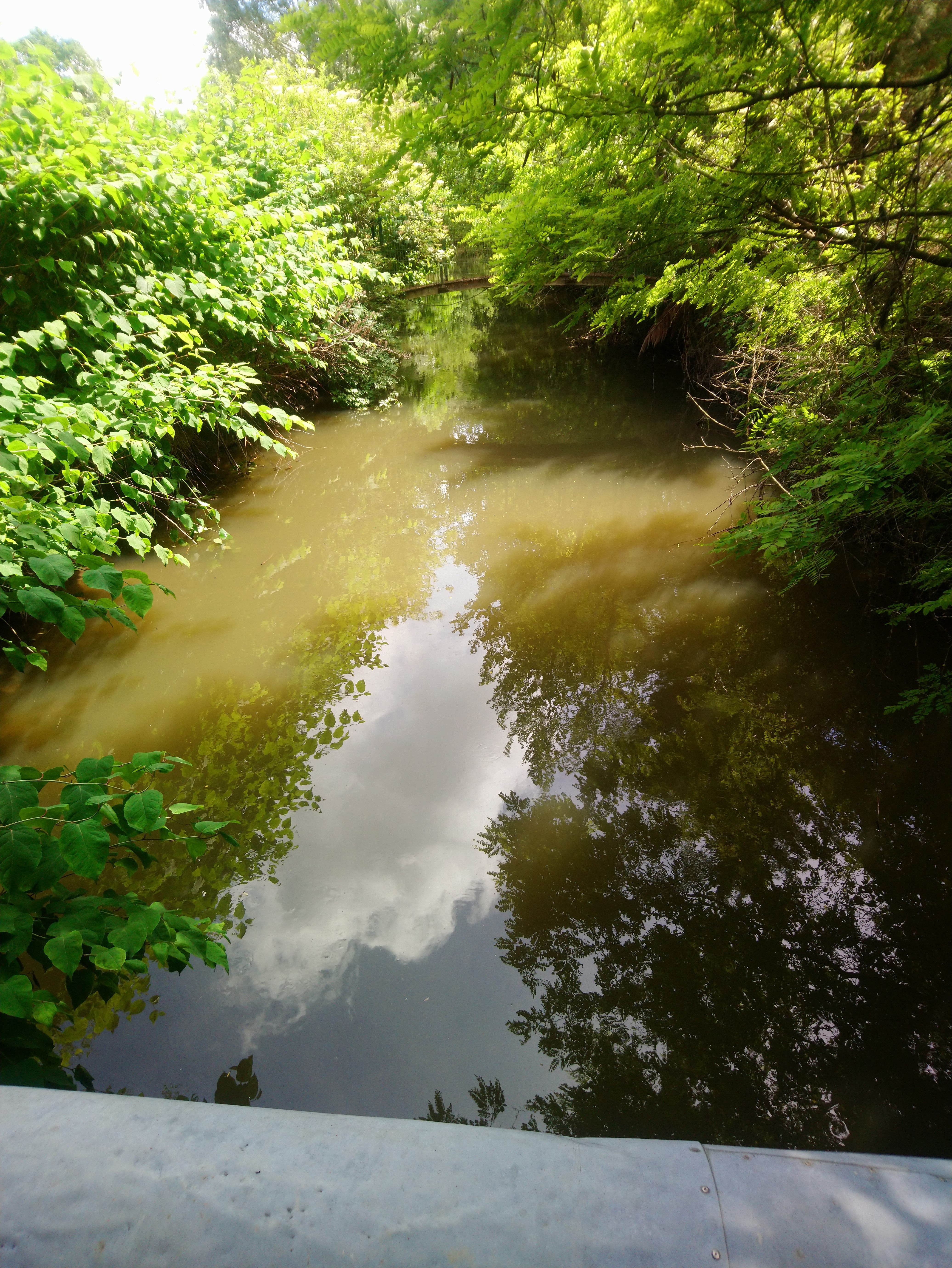 Photo n° 27 de l'avis de Lucien.e fait le 10/06/2019 à 14:26