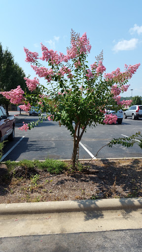 Department Store «Stage», reviews and photos, 1060 Hometown Commons, Mountain Home, AR 72653, USA