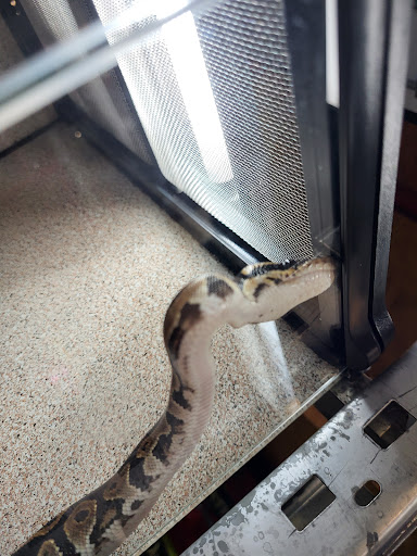 Pet Store «The Pet Shop», reviews and photos, 2235 S Power Rd #107, Mesa, AZ 85209, USA