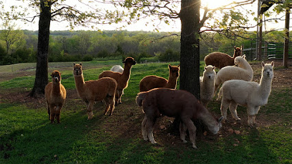Timber View Farm Alpacas