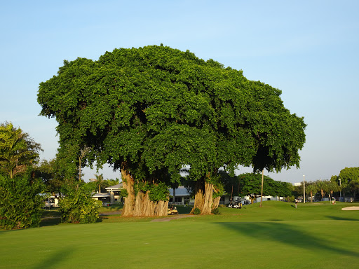 Country Club «International Links Melreese Country Club», reviews and photos, 1802 NW 37th Ave, Miami, FL 33125, USA