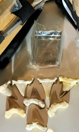 Used Car Dealer «CARWAY Auto Sales», reviews and photos, 1301 N State Rd 7, Pompano Beach, FL 33063, USA