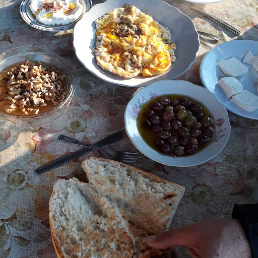 Kokkum Vitamin Deposu