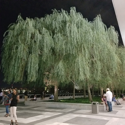 Performing Arts Theater «The John F. Kennedy Center for the Performing Arts», reviews and photos, 2700 F St NW, Washington, DC 20566, USA