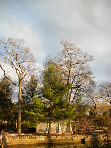 Zoo «Capron Park Zoo», reviews and photos, 201 County St, Attleboro, MA 02703, USA