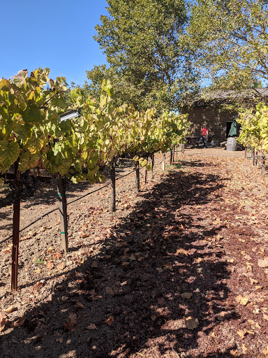 Bicycle Rental Service «Napa Valley Bike Tours & Rentals», reviews and photos, 6500 Washington St, Yountville, CA 94599, USA