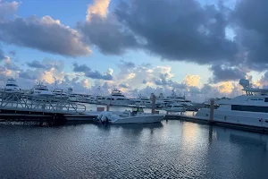Palm Harbor Marina image
