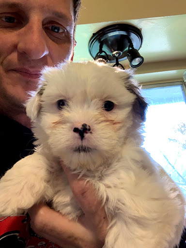 1 Love Dog Rescue image