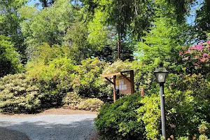 Rhody Ridge Arboretum image