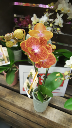 Supermarket «Weis Markets», reviews and photos, 331 N Reading Rd, Ephrata, PA 17522, USA