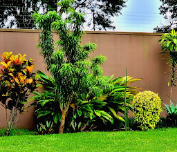 Kings Guest House photo