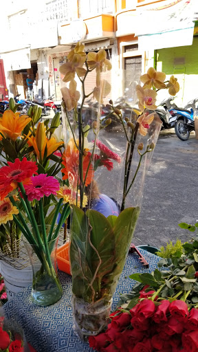 BODEGA D’ FLORES SANDY – Sahuayo