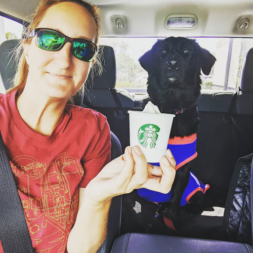 Coffee Shop «Starbucks», reviews and photos, 7398 Seminole Blvd, Seminole, FL 33772, USA