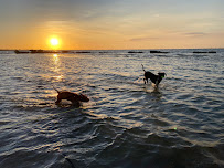 Sandy Paws Pet Care - Photo 6 - Car repair in , Tampa