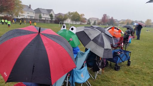 Park «Hampe Park», reviews and photos, 297 W Lies Rd, Carol Stream, IL 60188, USA